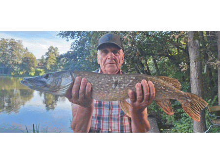 Fischerparadies Grafenteich Voitsberg Steiermark